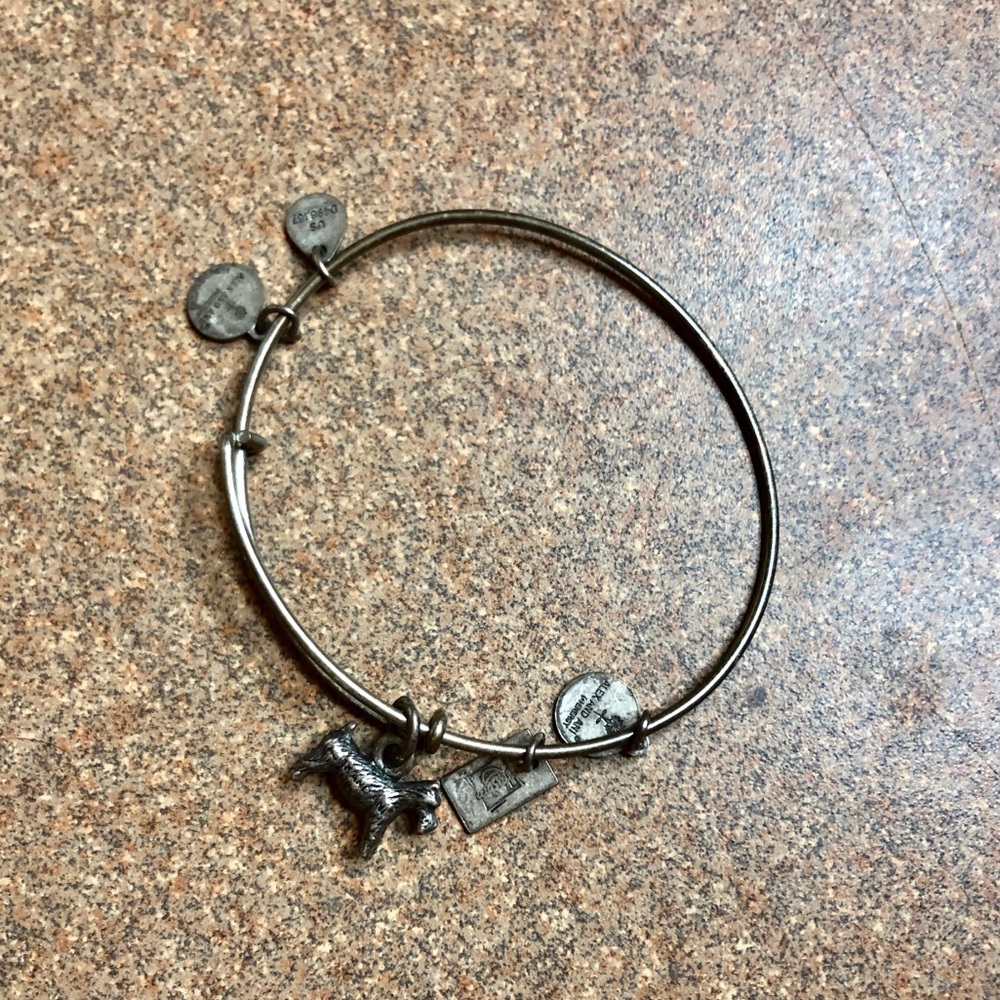 Alex and Ani schnauzer bracelet